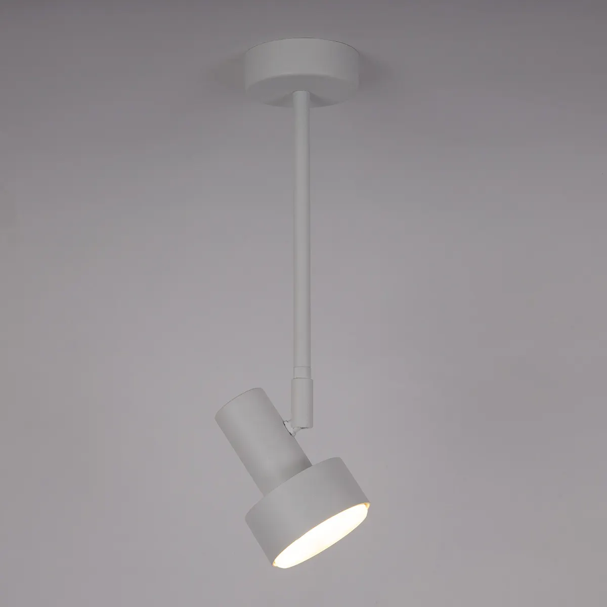 Lampa sufitowa MONA 1 L biała - SI_40987