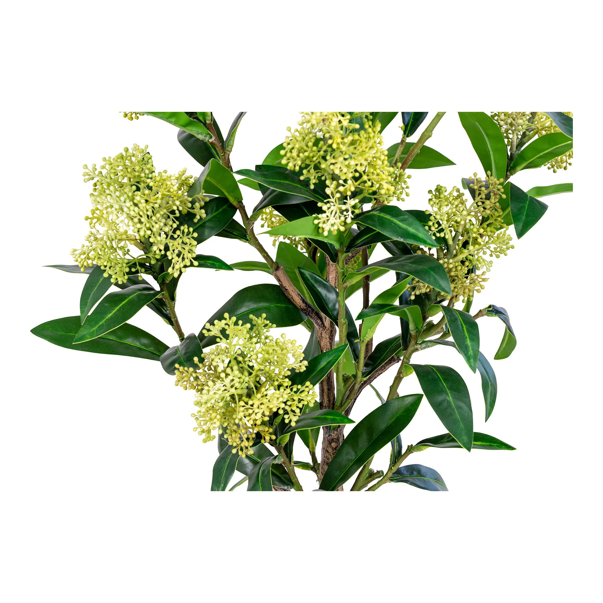 Sztuczna roślina SKIMMIA wys:75 cm zielona - 9501120