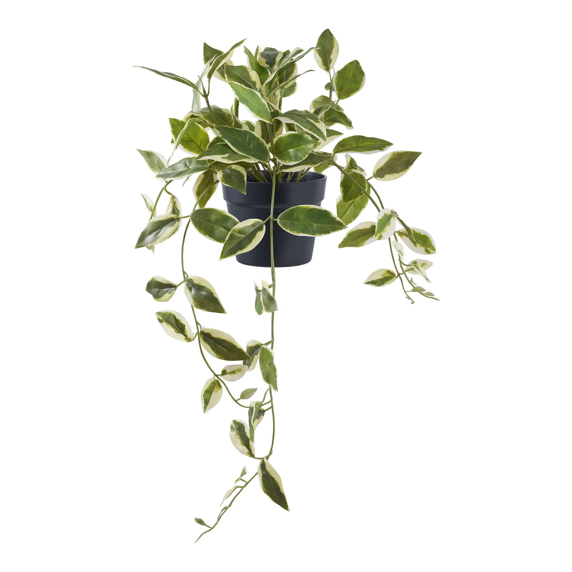 Sztuczna roślina HOYA wys:33 cm zielona
