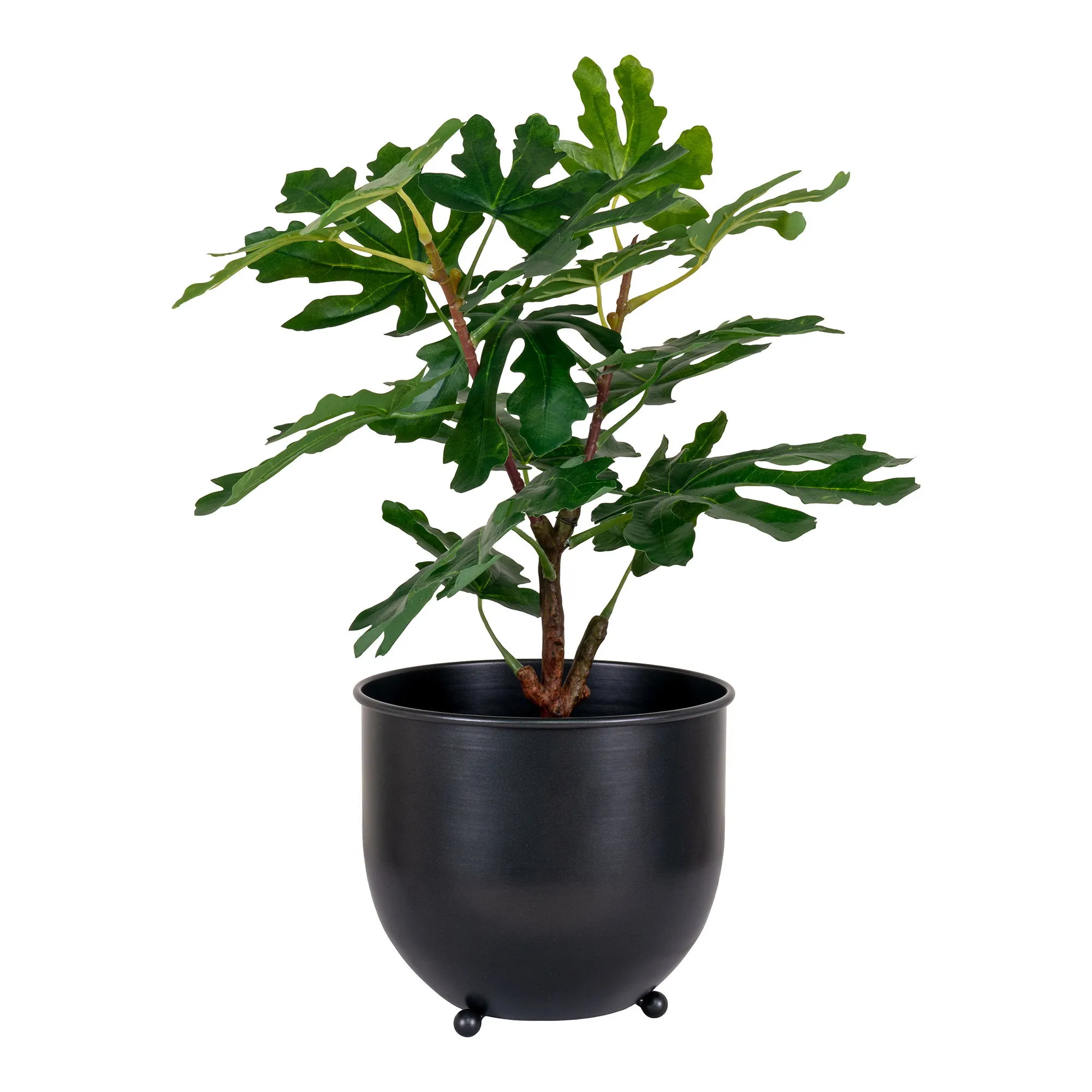 Sztuczna roślina FIG wys:60 cm zielona - 9501110