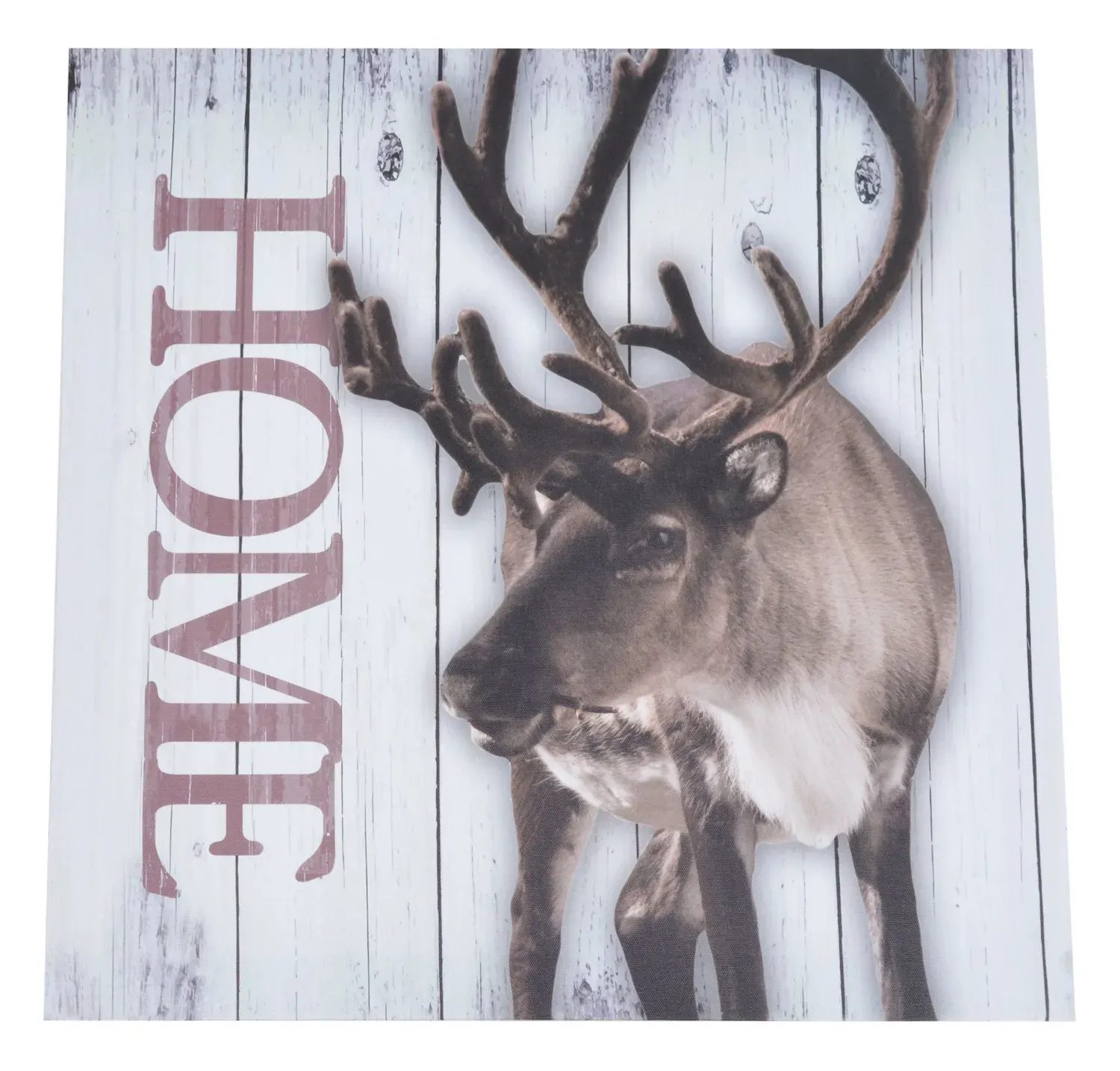 Obraz RENIFER HOME 40X40CM wielokolorowy Obraz RENIFER HOME 40X40CM wielokolorowy