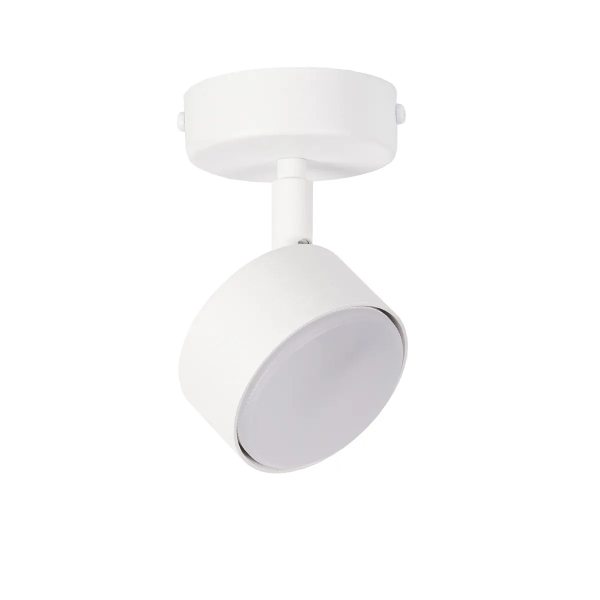 Lampa sufitowa/plafon NEMO 1 S biały