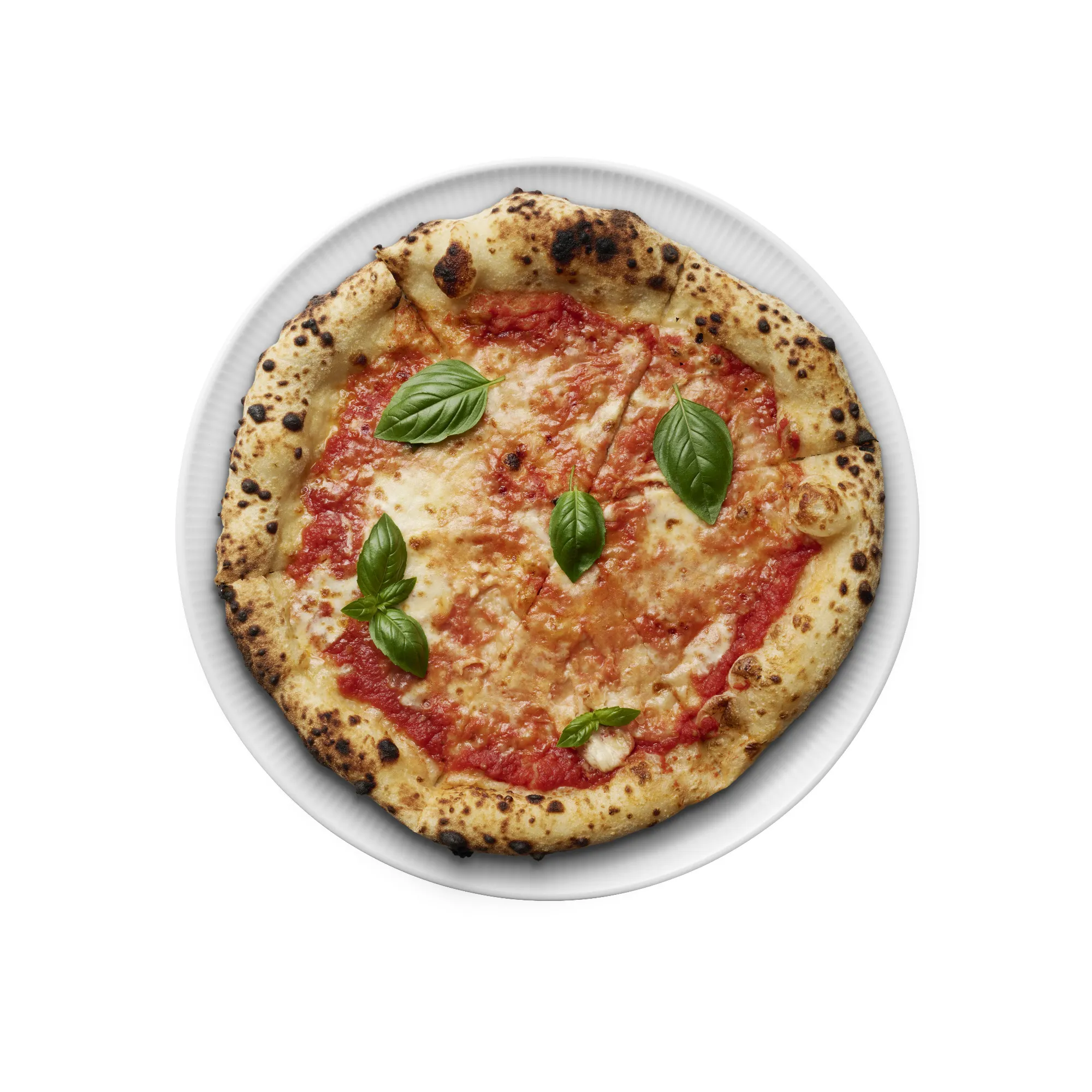 image pizza, pizza mesti, margherita, mozzarella, basil