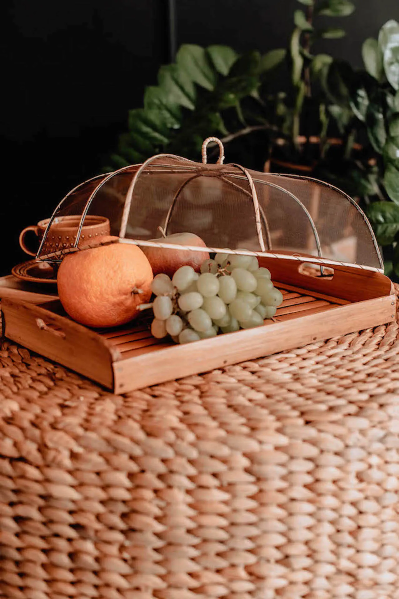 TACA Z POKROWCEM NA JEDZENIE S BRĄZ - MMHA66BS