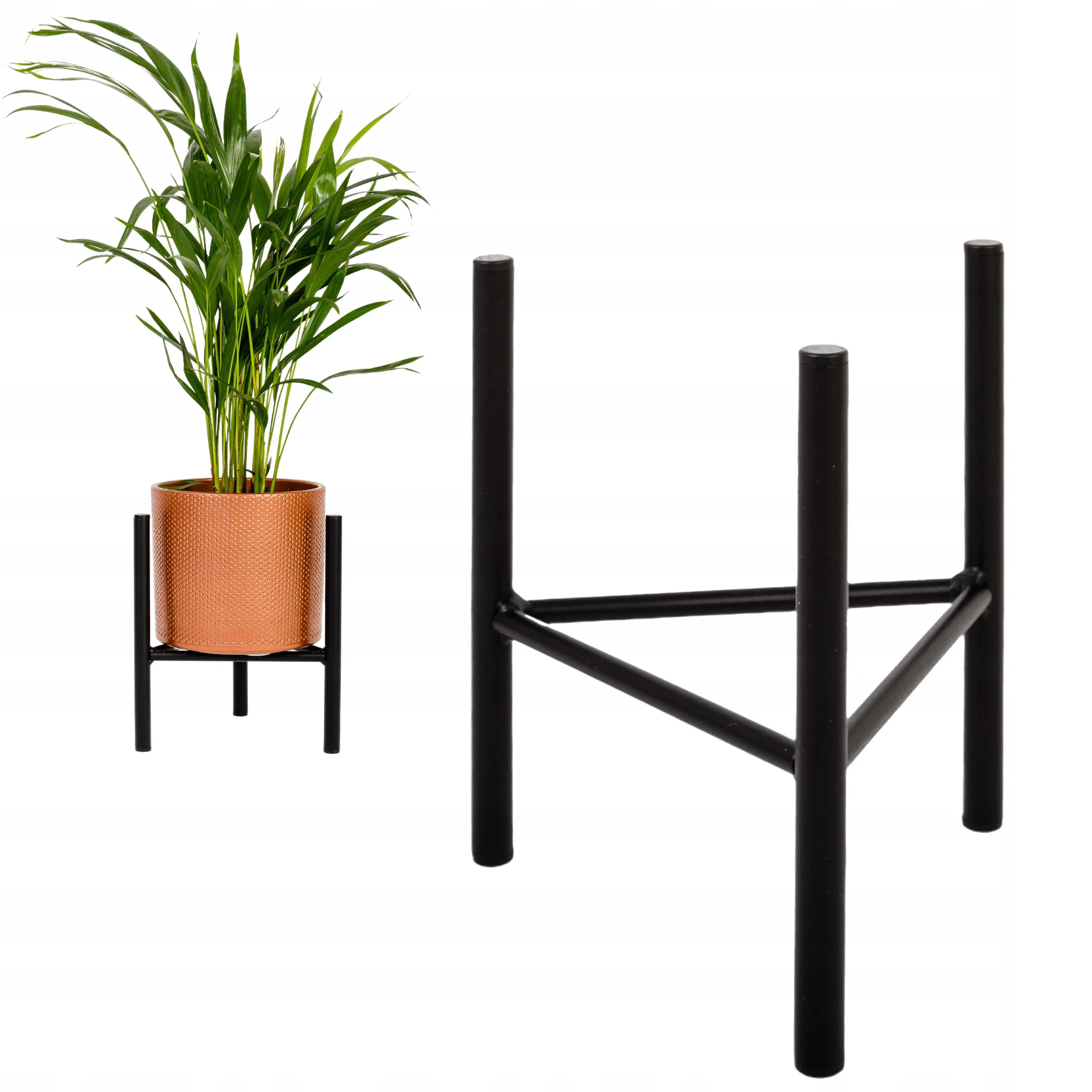 Słoik, Roślina, plantator, Roślina doniczkowa, Ceramika