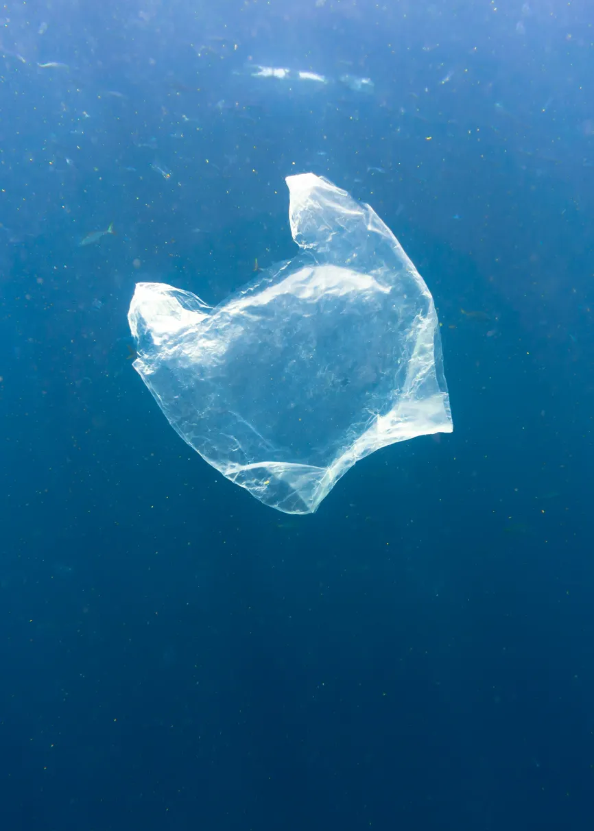 Plastik, Torba, Plastikowa torba