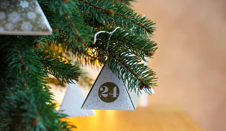 Roślina, Drzewo, Jodła, Drzewo iglaste