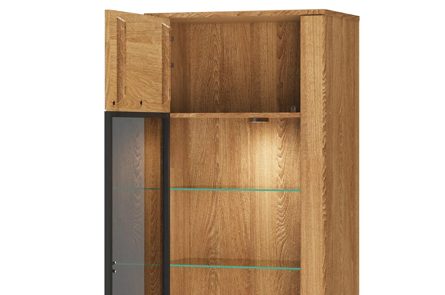 Witryna 1-drzwiowa PORTO 10 lewa/prawa - dąb złoty - TH-100-1609