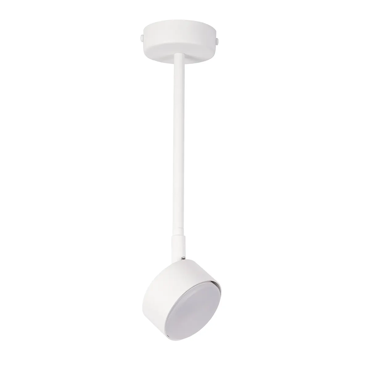 Lampa sufitowa/plafon NEMO 1 L biały