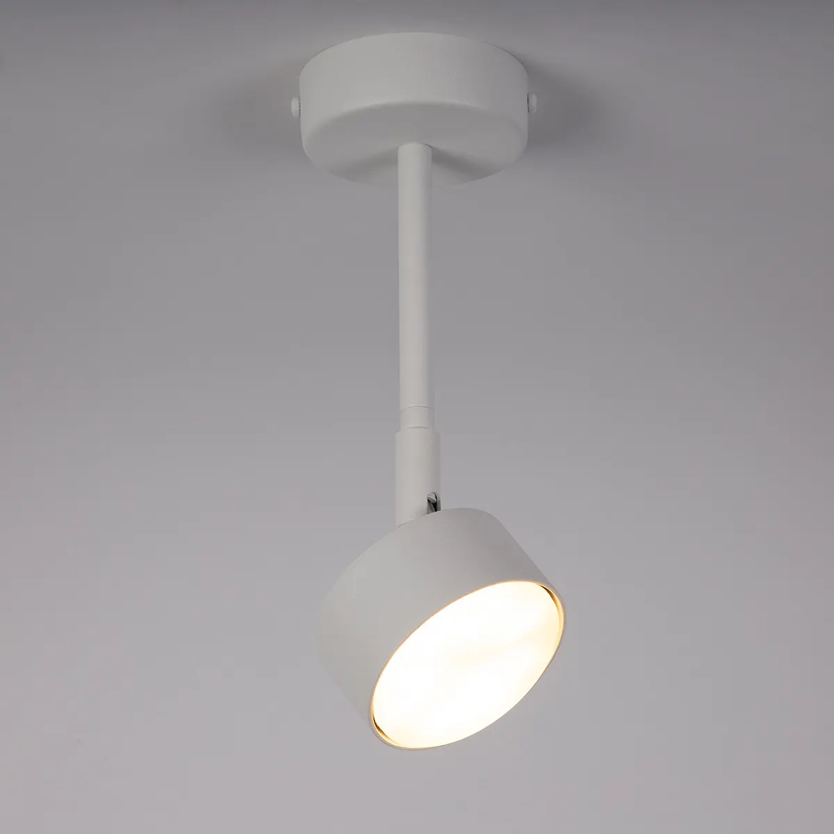 Lampa sufitowa/plafon NEMO 1 M biały - SI_40979