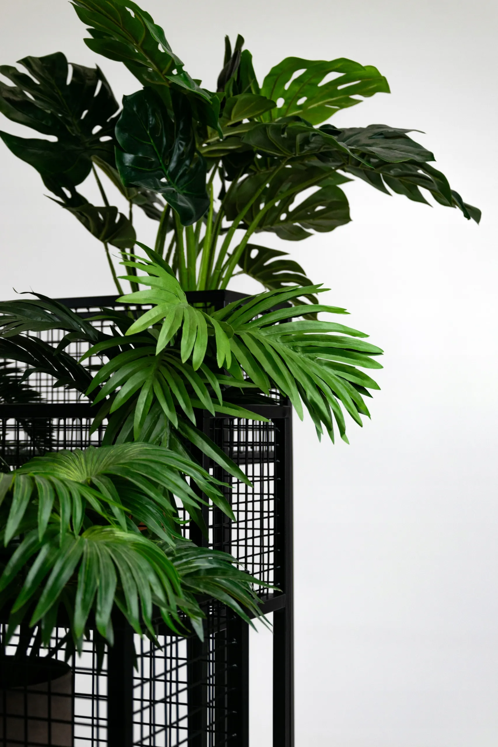 Kwietnik stojący z siatką DAX M czarny - LD_TZ000039