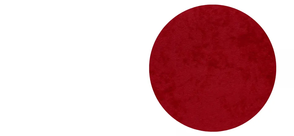 Krzesło młodzieżowe Petit szary Visto 09 rozmiar 5 WK+P - NB-A-5-D-A-VS09