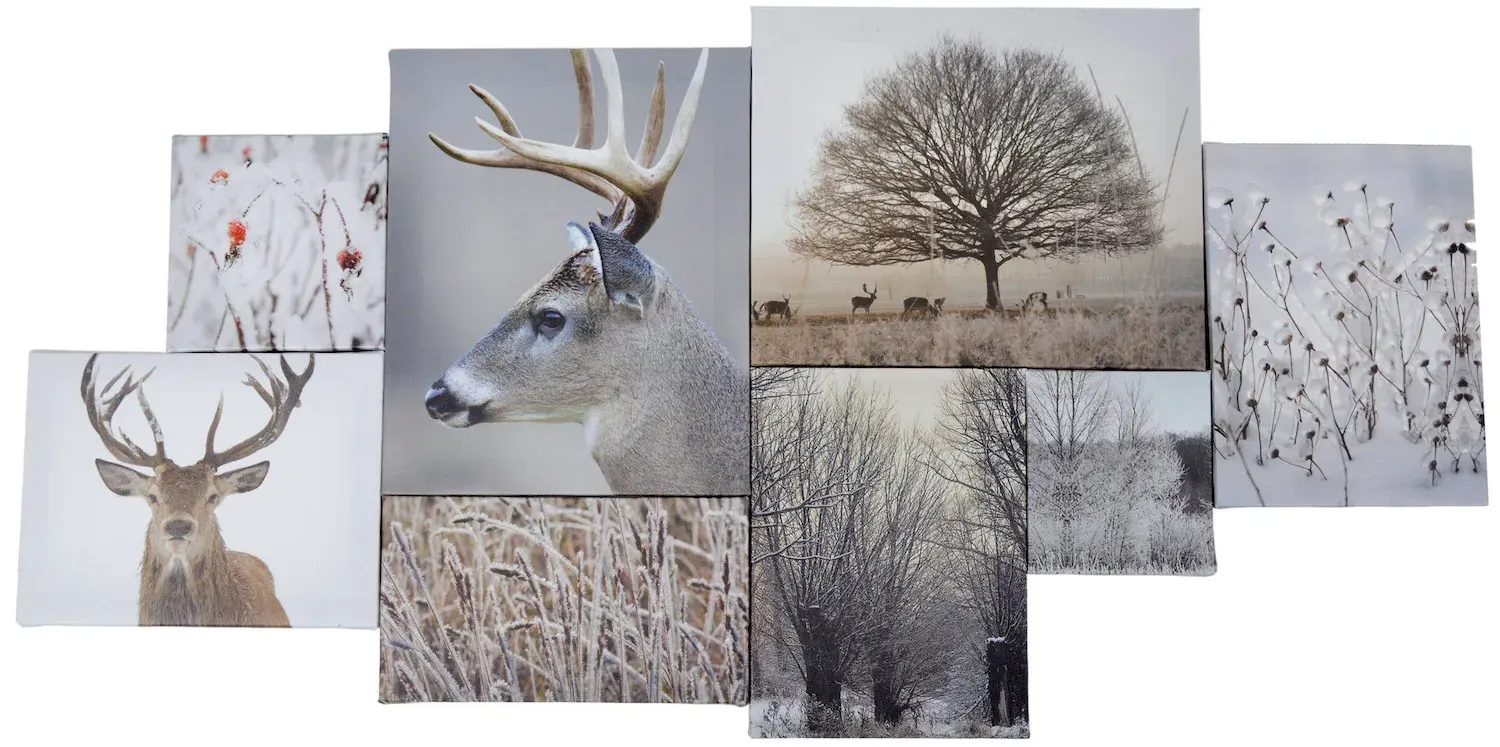 Zestaw 8 OBRAZKÓW Z RENIFERAMI 40x80 cm wielokolorowy Zestaw 8 OBRAZKÓW Z RENIFERAMI 40x80 cm wielokolorowy