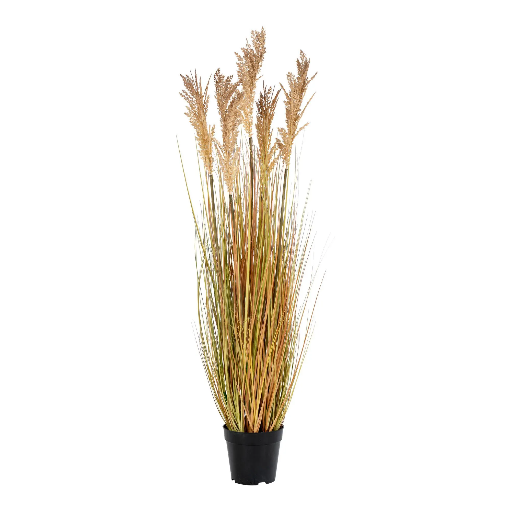 Sztuczna roślina SORGHUM 110 cm beżowa