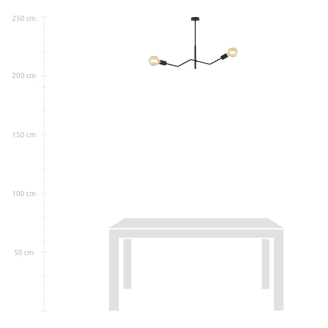 Lampa sufitowa FRIX Czarny 1126/2 - 1126/2