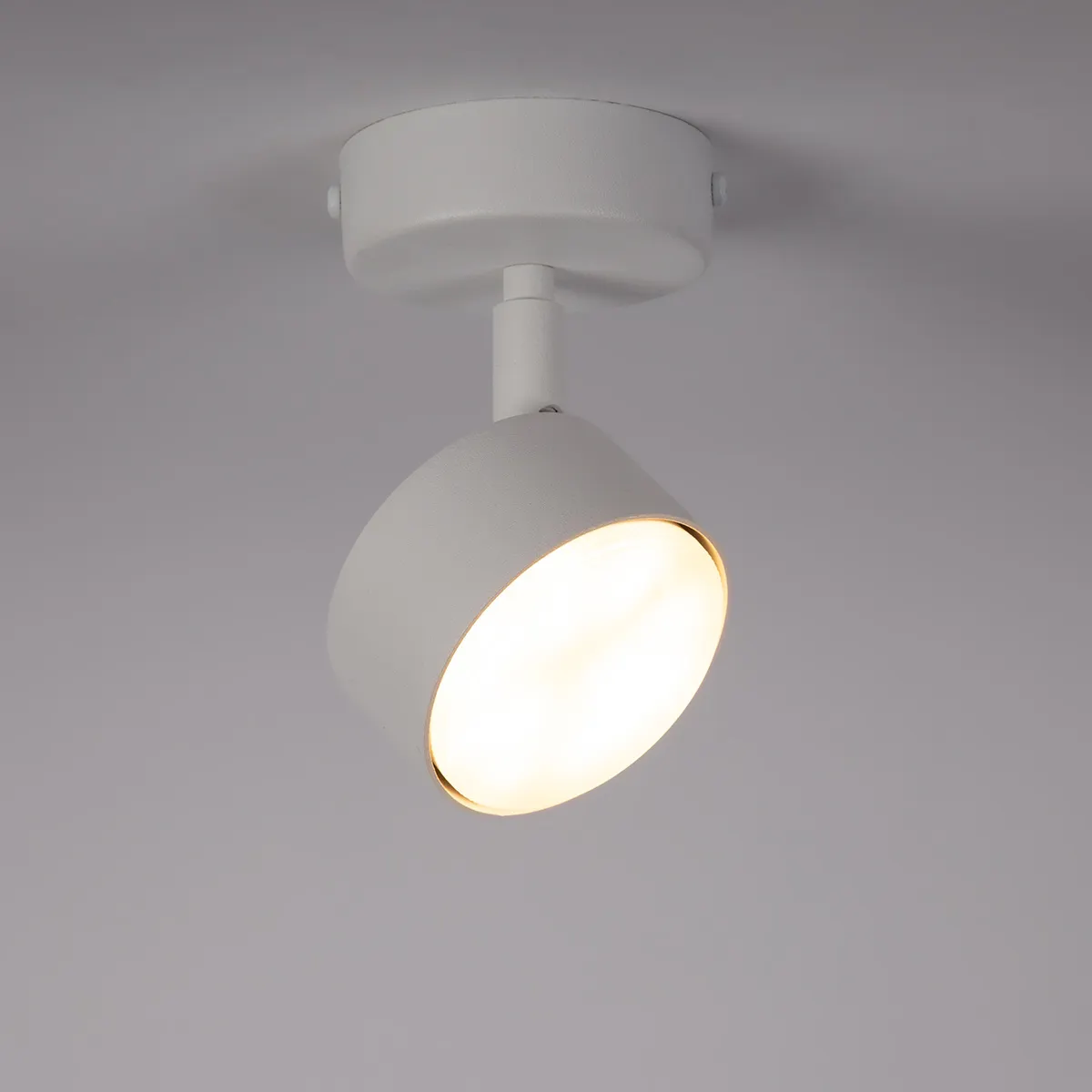 Lampa sufitowa/plafon NEMO 1 S biały - SI_40978