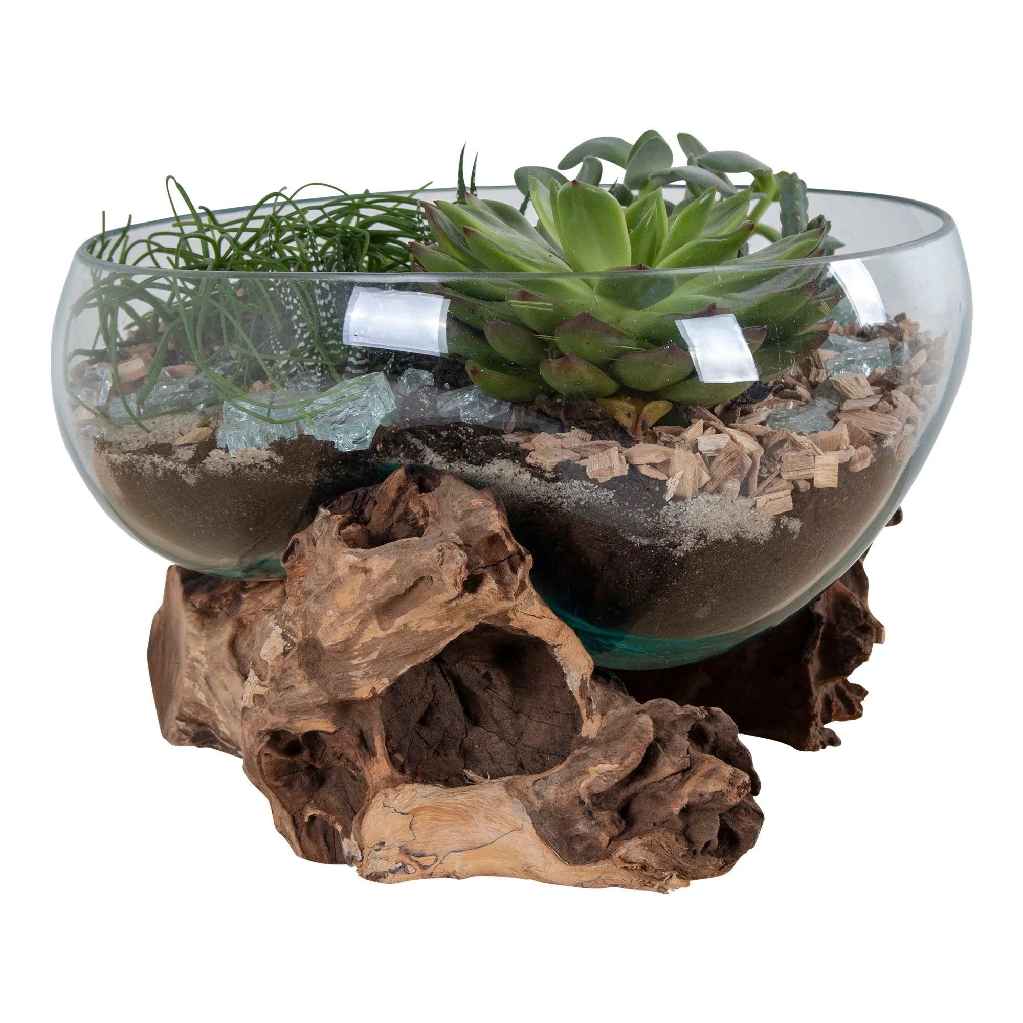 Dekoracja stojąca w szkle SAN MARINO 20 cm drewno tekowe/naturalny — zdjęcie 2