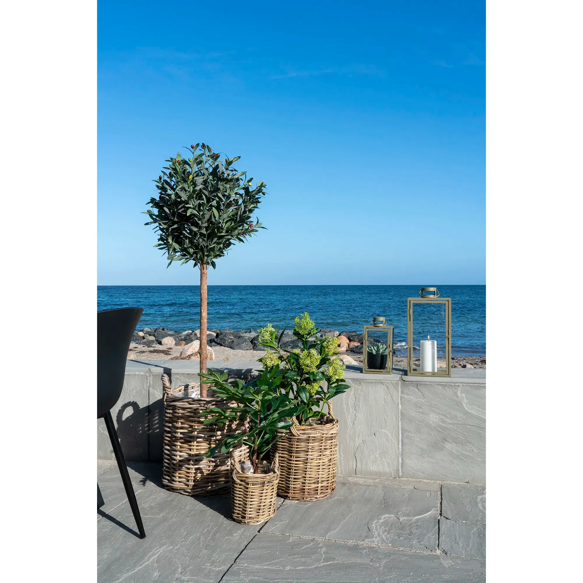 Sztuczna roślina SKIMMIA wys:75 cm zielona - 9501120