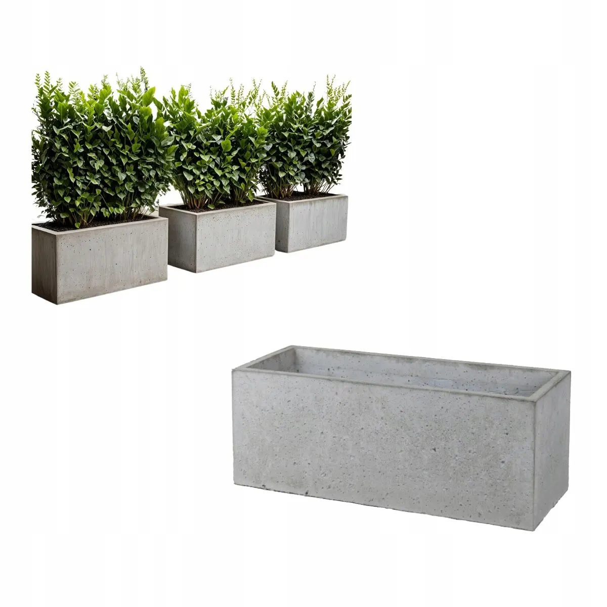 Słoik, plantator, Roślina doniczkowa, Ceramika, Wazon