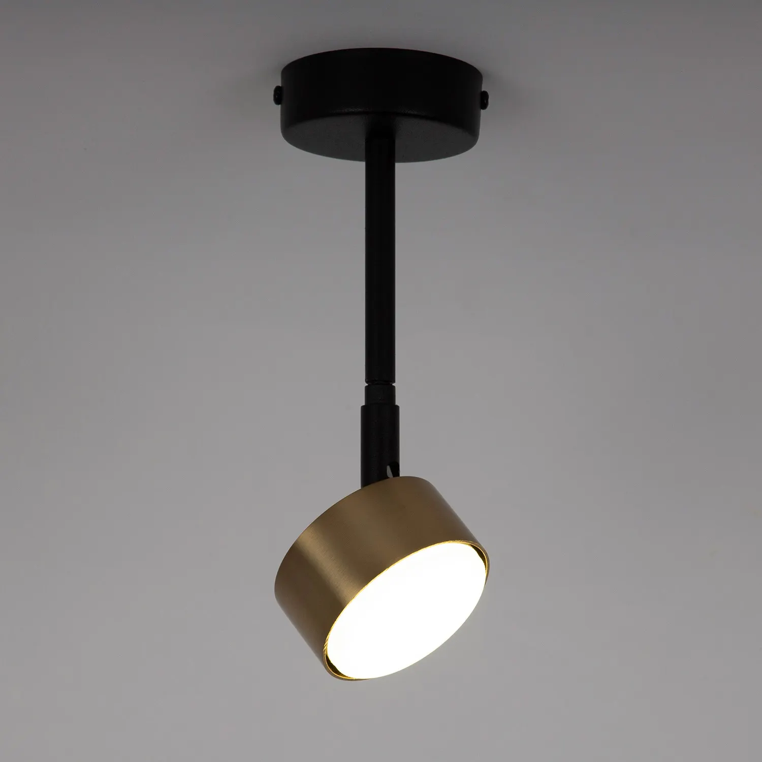 Lampa sufitowa/plafon NEMO 1 M czarno-złoty - SI_41085