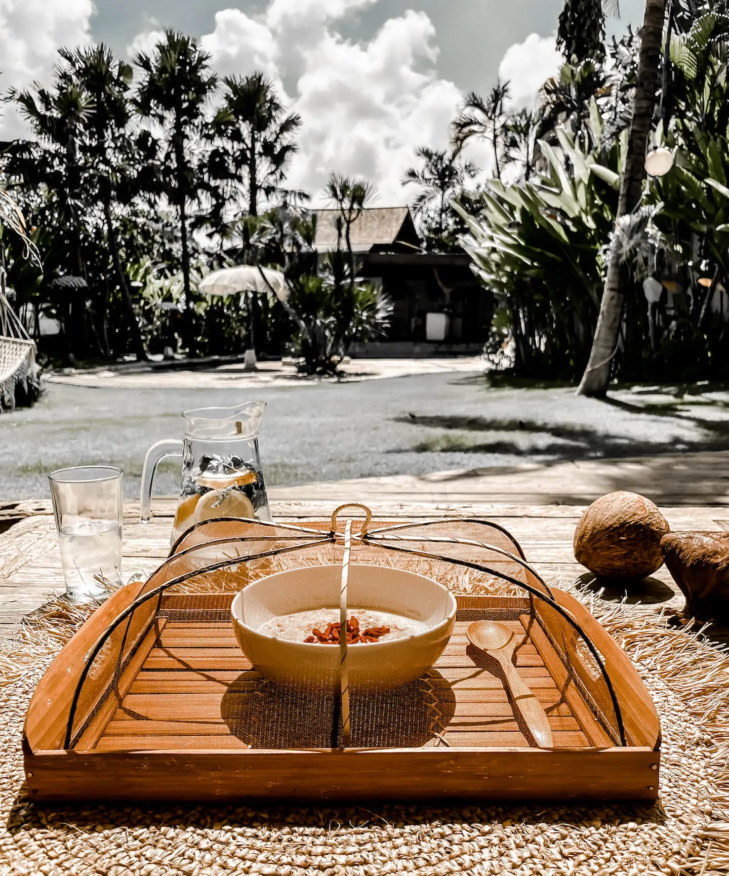 TACA Z POKROWCEM NA JEDZENIE S BRĄZ - MMHA66BS