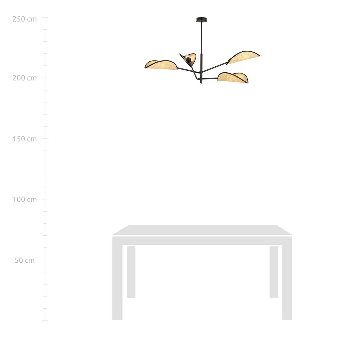 Lampa sufitowa VENE Czarny 1160/4 - 1160/4