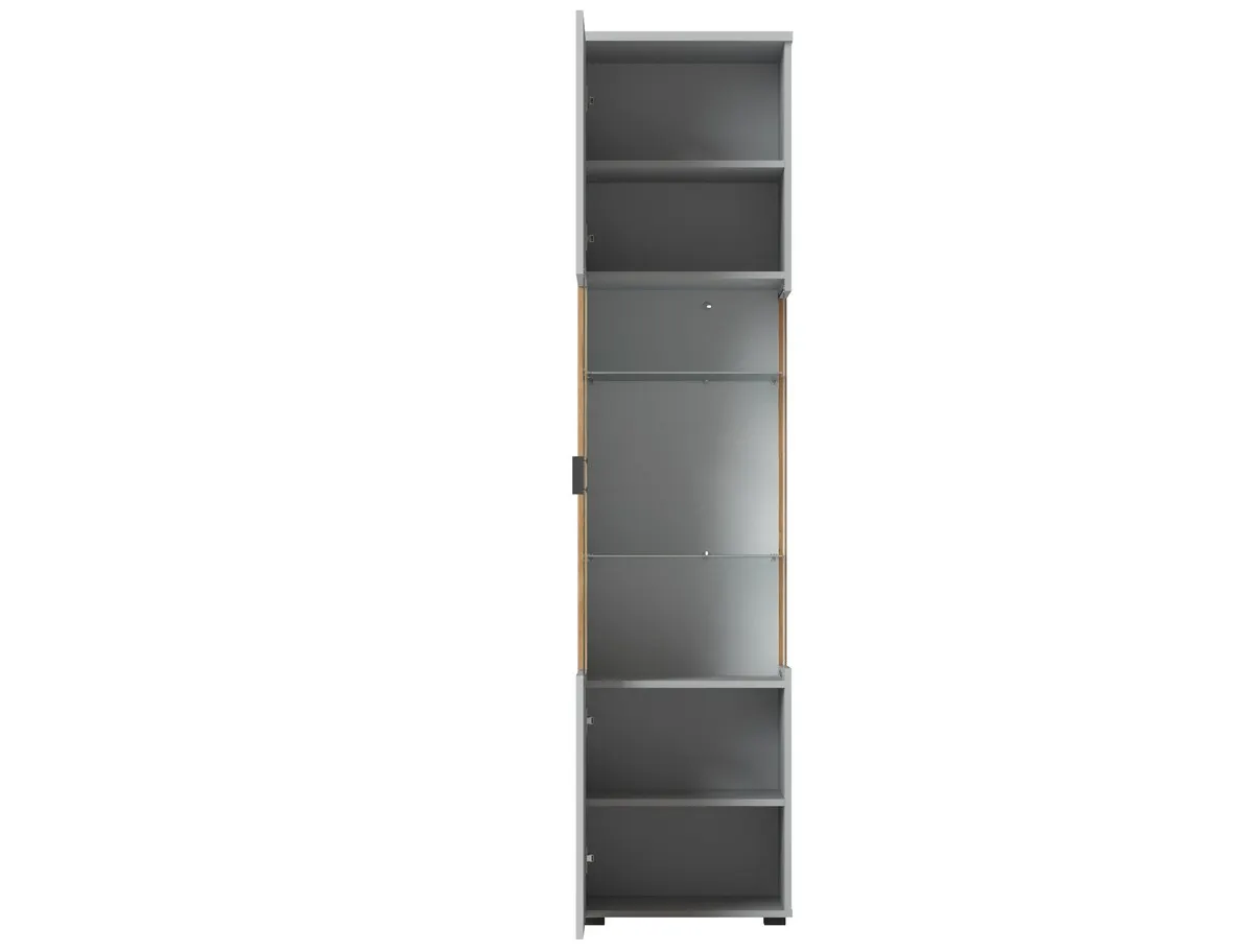 Witryna 1-drzwiowa ALVERNO ALVV02L Szary, Dąb Coast Evoke, Nadruk - 6000000013240