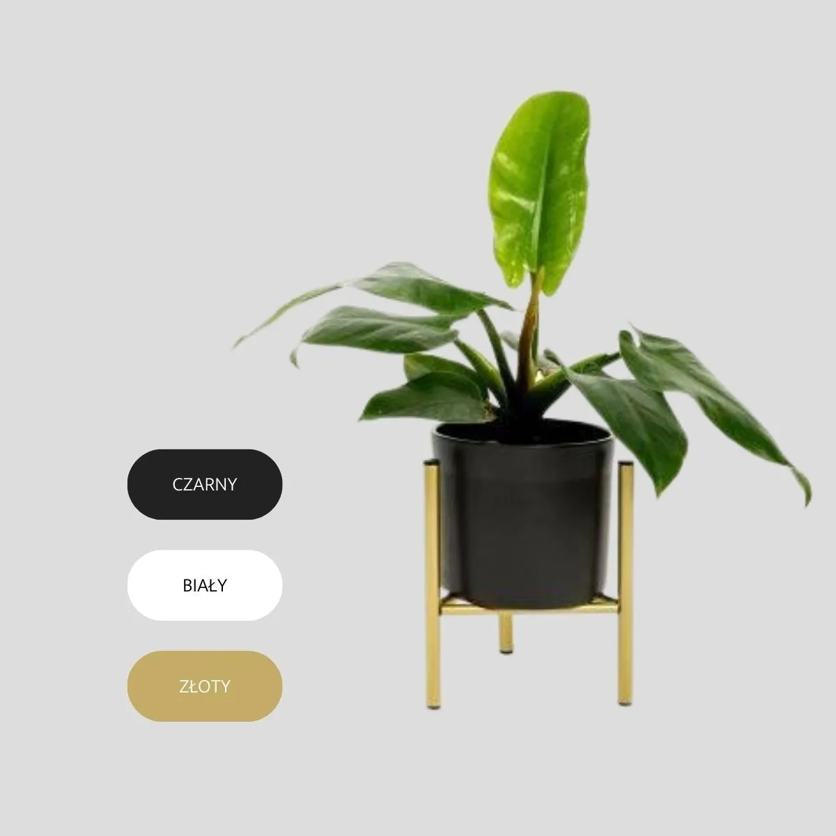 Kwietnik-stojak na donice metalowy DIJON S złoty - LD_TZ000004