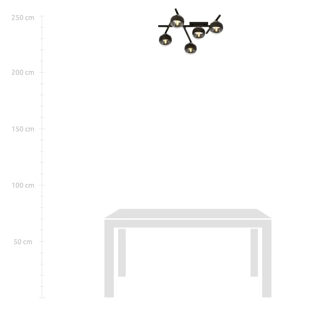 Lampa sufitowa SMART Czarny 1105/5 - 1105/5