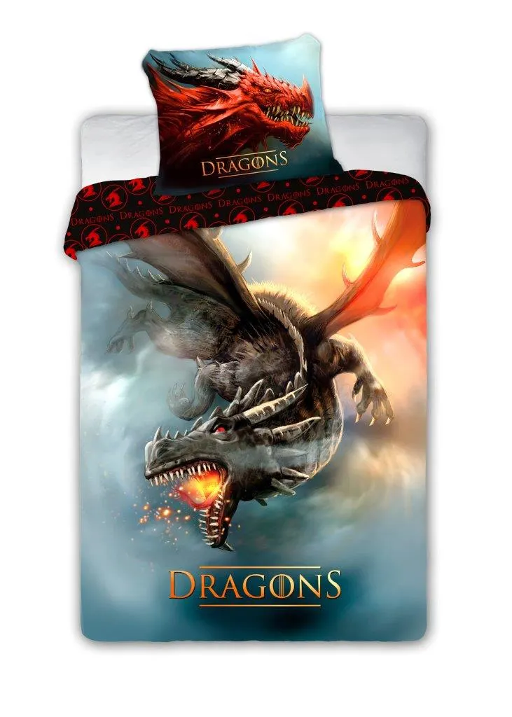 Pościel komplet młodzieżowy DRAGONS 028 bawełna 160X200+70X90 LATAJĄCY SMOK wielokolorowy Odzież, Kapelusz