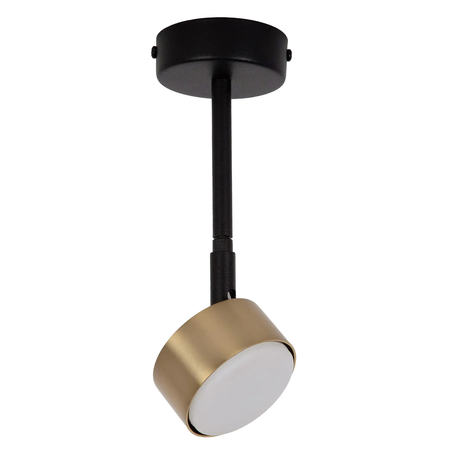 Lampa sufitowa/plafon NEMO 1 M czarno-złoty